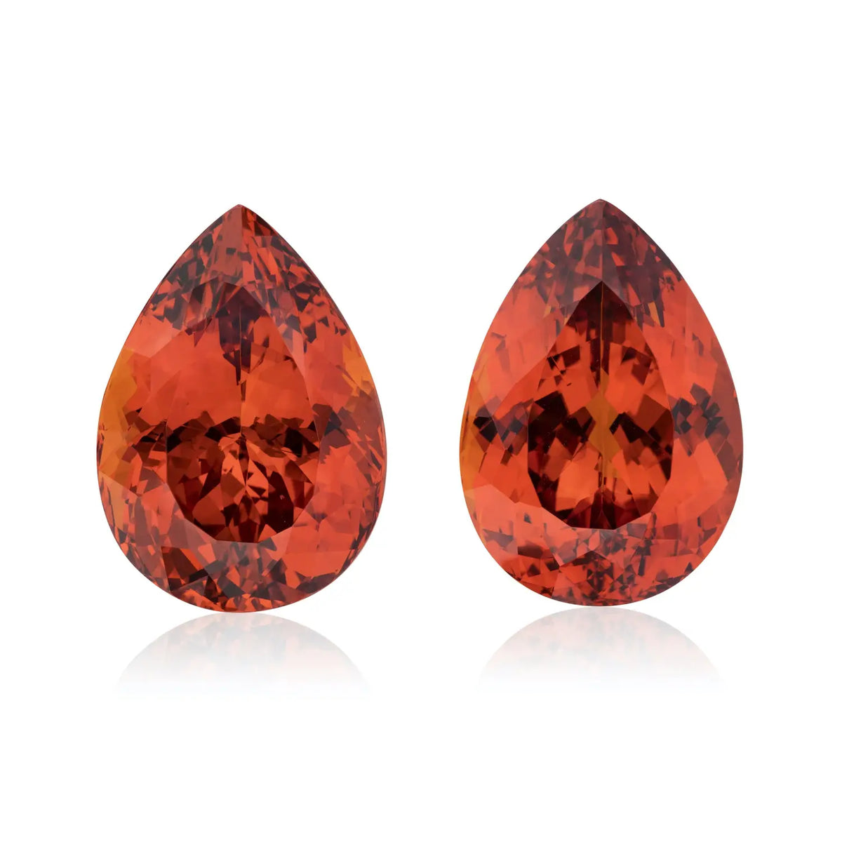 AGTA Announces Gem of a Winner at Spectrum Awards-Jogani