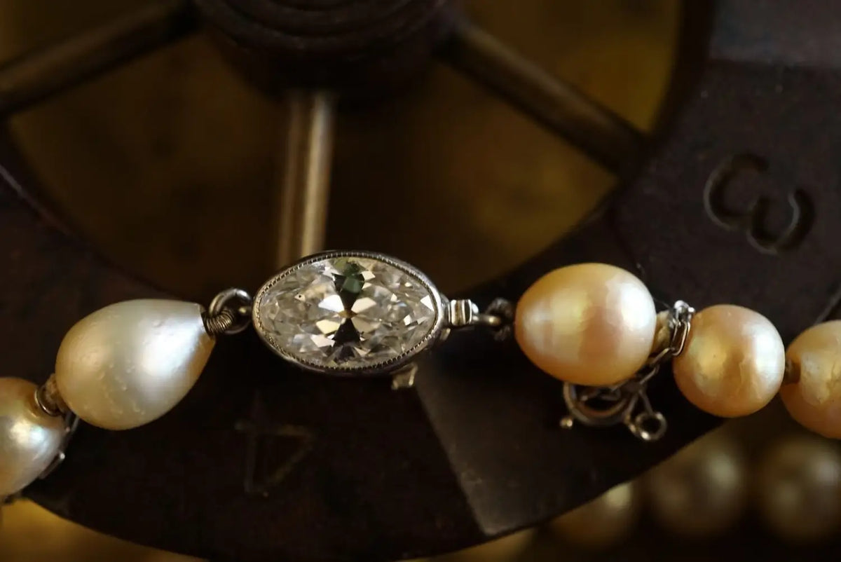 Tiffany & Co-Jogani
